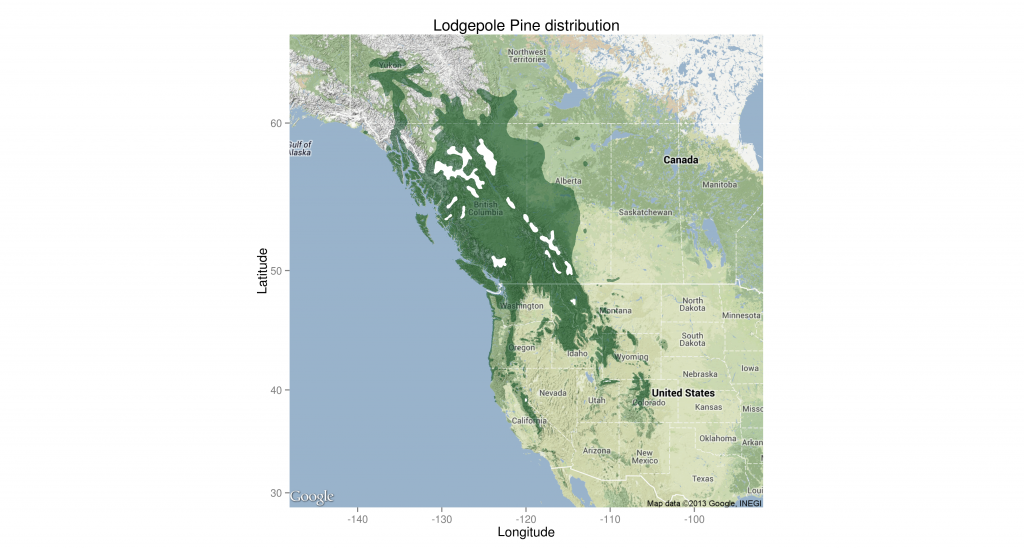 Pinus contorta range map including all subspecies. White areas within the distribution boundary contain no lodgepole. Based on Little 1971.